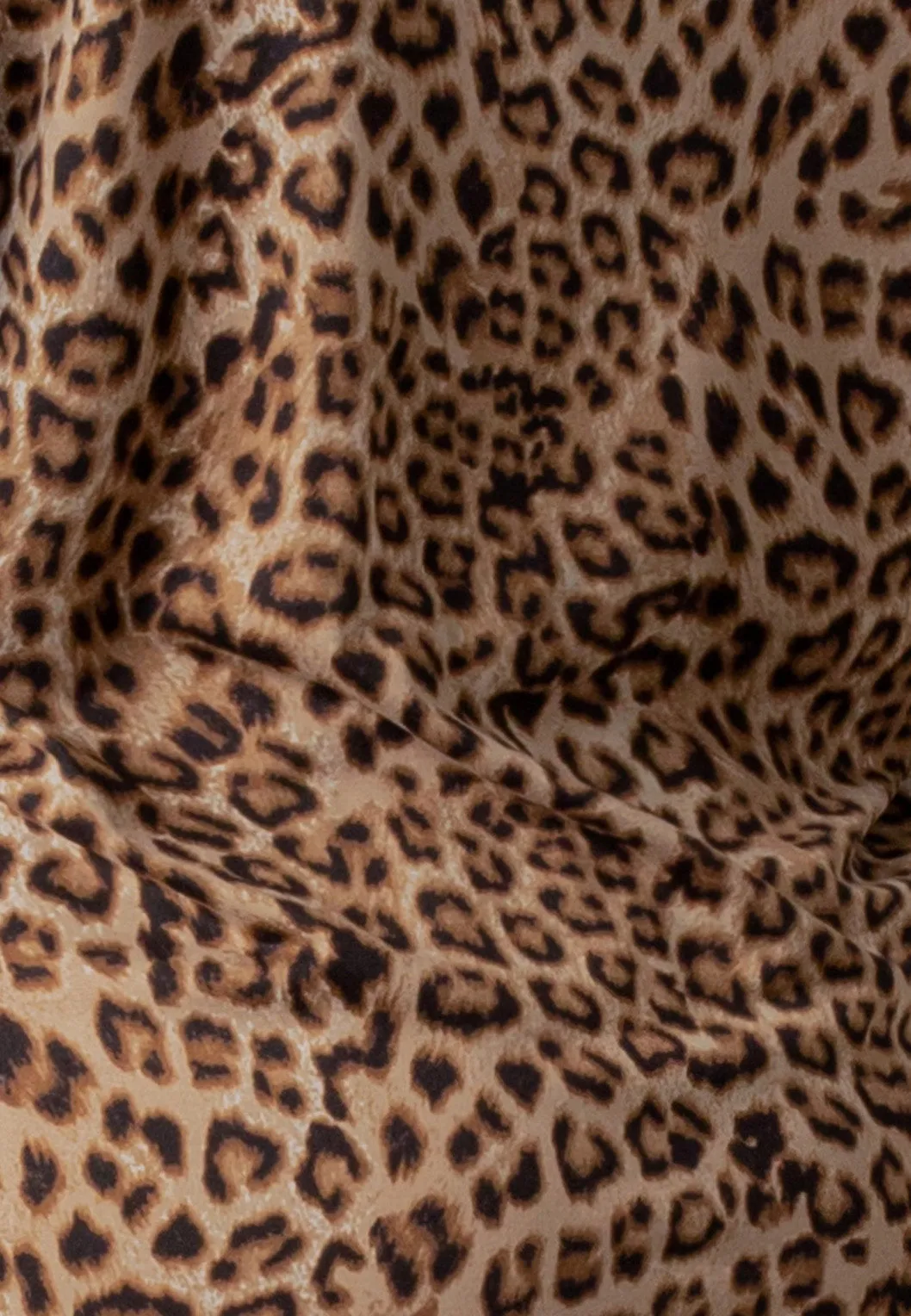 Long Sleeve Leopard Print Top